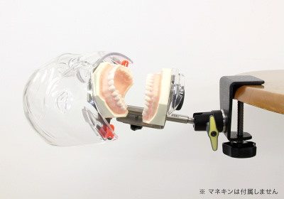 ニッシン - 顎模型D16HD-500H（GS-E）MF 咬合器なし | ショップ